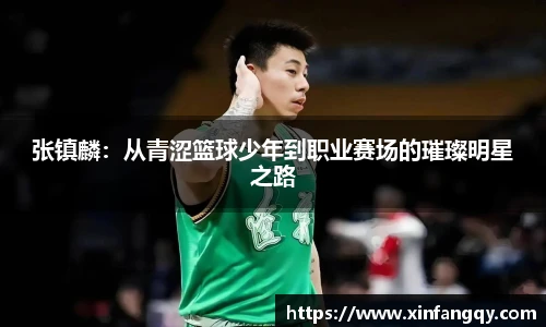 张镇麟：从青涩篮球少年到职业赛场的璀璨明星之路