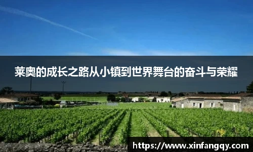 k1体育网址